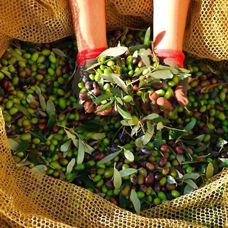 דירה Angolo Di Paradiso קאסטיגליונה דל לאגו