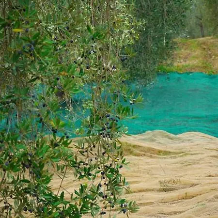 Angolo Di Paradiso